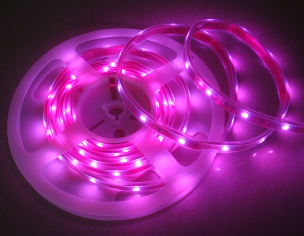 LED Tube Light